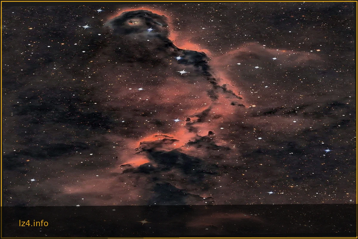 The Elephant's Trunk Nebula in Cepheus: A Cosmic Wonder