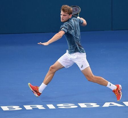 David Goffin: I Continue My Career for Matches Like This