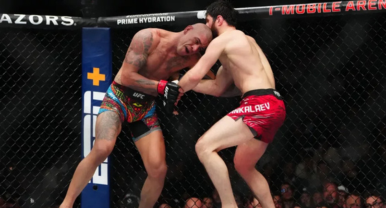 Preview Chael Sonnen Questions Alex Pereira’s Rematch Decision Against Magomed Ankalaev