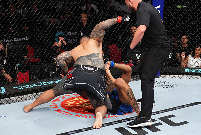 Preview Heavyweight Showdown at UFC 317: Tafa to Face Diniz