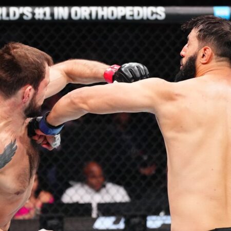 Dominick Reyes Victorious with First-Round Knockout Against Nikita Krylov at UFC 314