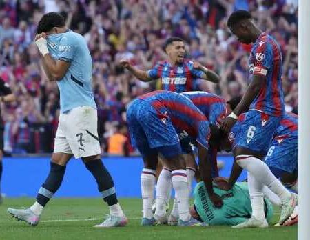 Crystal Palace Secure Historic FA Cup Win Against Manchester City
