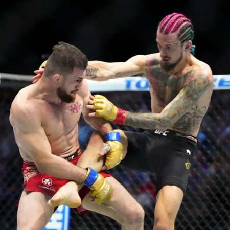 Merab Dvalishvili’s Potential Challengers After UFC 316