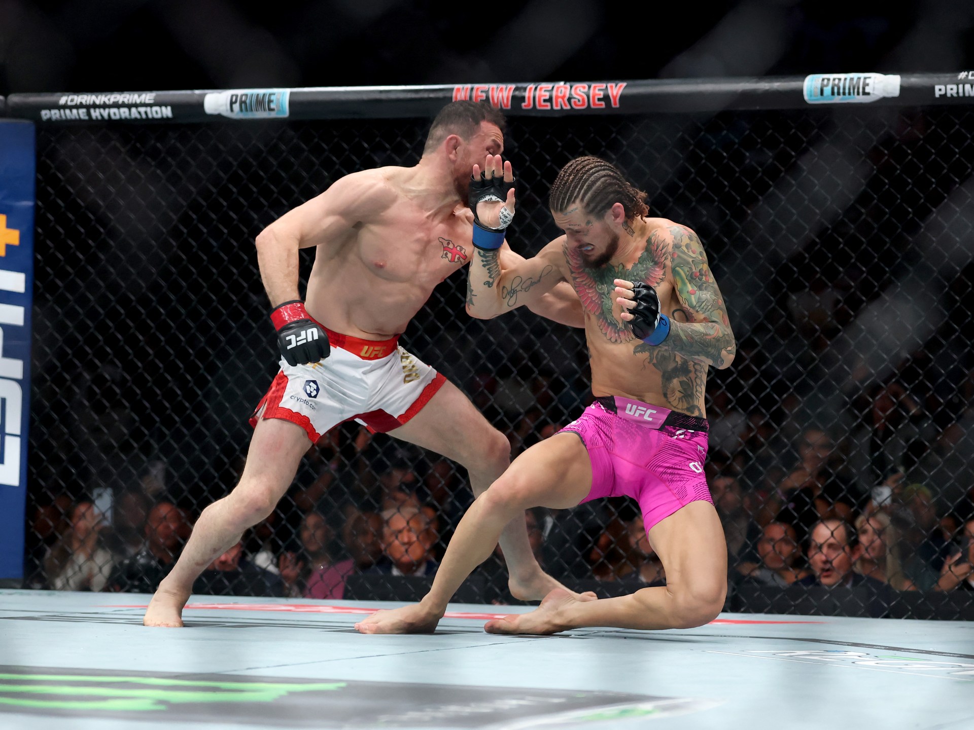 Preview UFC 316: Breaking Down Dvalishvili’s Dominance and the Bantamweight GOAT Debate