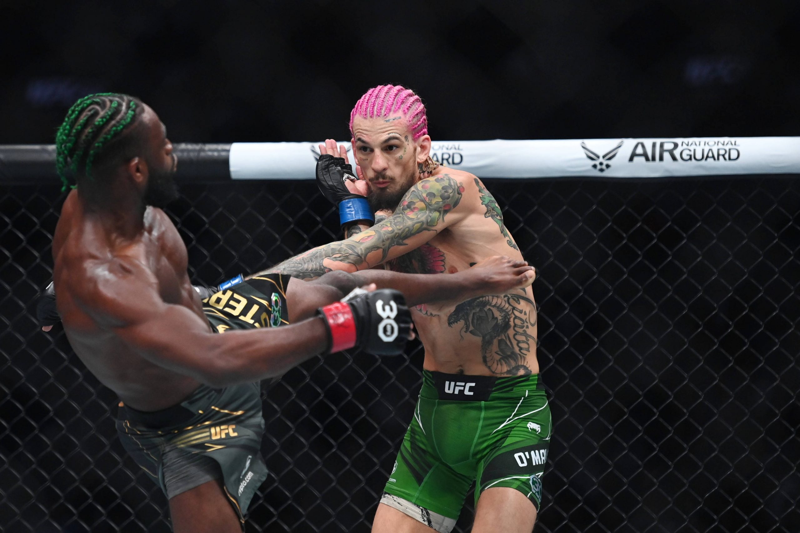 Preview Aljamain Sterling on Sean O’Malley’s Potential at 145 and Rematch Interest