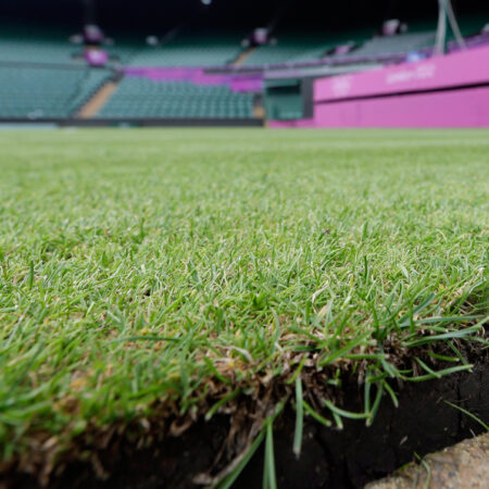 Wimbledon’s Shifting Landscape: A Decade of Different Queens on the Grass