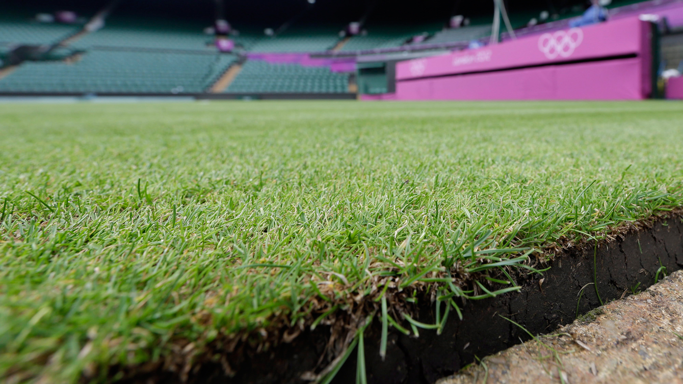 Preview Wimbledon’s Shifting Landscape: A Decade of Different Queens on the Grass
