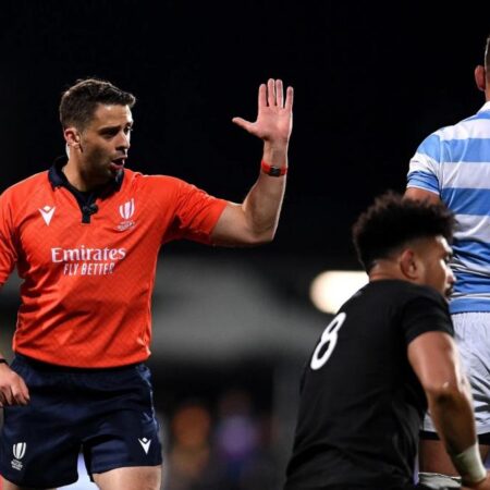 Georgian Whistleblower Nika Amashukeli Set for Key Role in Rugby Championship 2025 Featuring Springboks