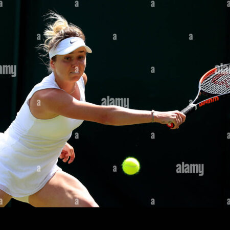 Elina Svitolina Steps Off Court: A Season Ends for Mental Well-being
