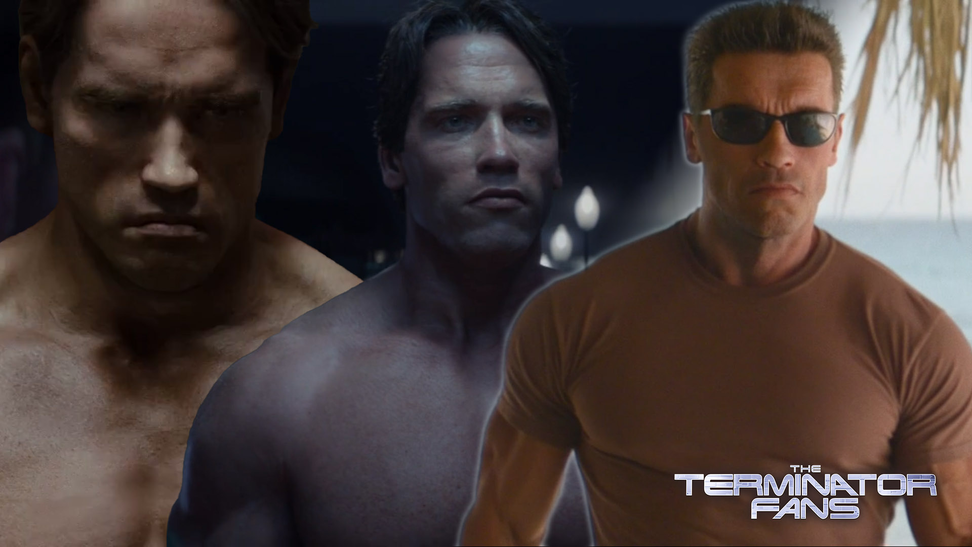 Preview When the Terminator Met the Gangster: Chael Sonnen’s Unconventional Tactic and Arnold Schwarzenegger’s Zero-Tolerance Stance on ‘The Celebrity Apprentice’