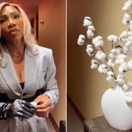 When Cotton Isn’t Just Cotton: Serena Williams’ Uncomfortable Encounter