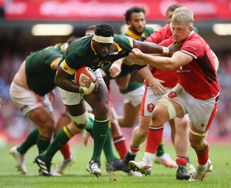 Preview South Africa Flexes Muscle with Comeback Victory in World Cup Warm-up