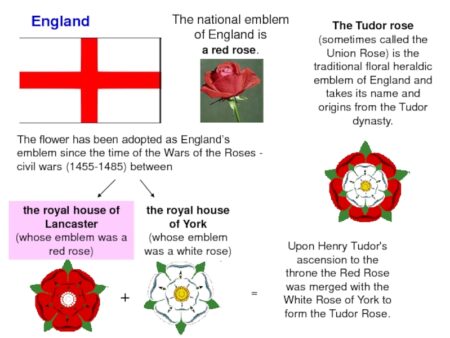 England’s Red Roses Reign Supreme, But A Global Challenge Looms Large