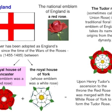 England’s Red Roses Reign Supreme, But A Global Challenge Looms Large