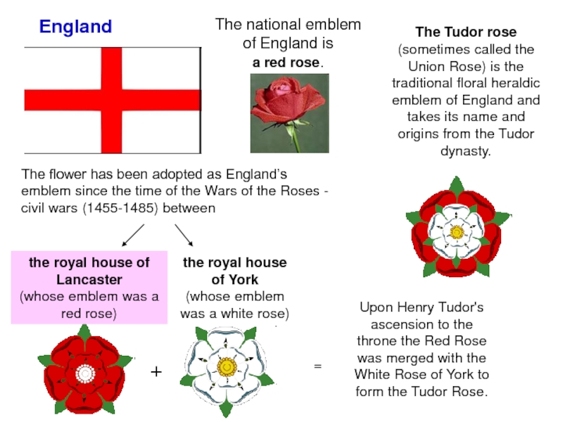 Preview England’s Red Roses Reign Supreme, But A Global Challenge Looms Large