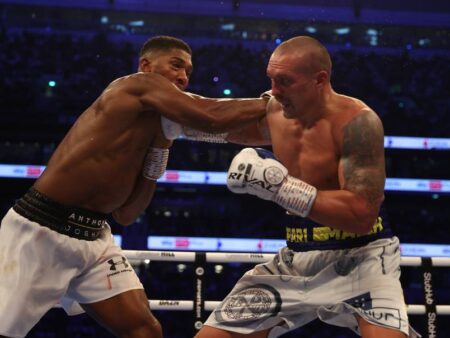 Hollywood’s Collision Course: The Rock’s Unfiltered Take on Oleksandr Usyk’s Power and MMA Ambitions