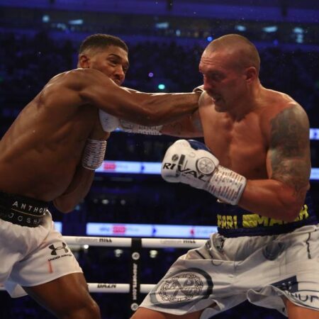 Hollywood’s Collision Course: The Rock’s Unfiltered Take on Oleksandr Usyk’s Power and MMA Ambitions