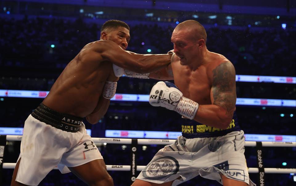 Preview Hollywood’s Collision Course: The Rock’s Unfiltered Take on Oleksandr Usyk’s Power and MMA Ambitions