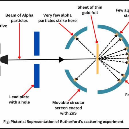 The Unprecedented Ascent: ASIAZXD’s Record-Shattering Performance in ALGS
