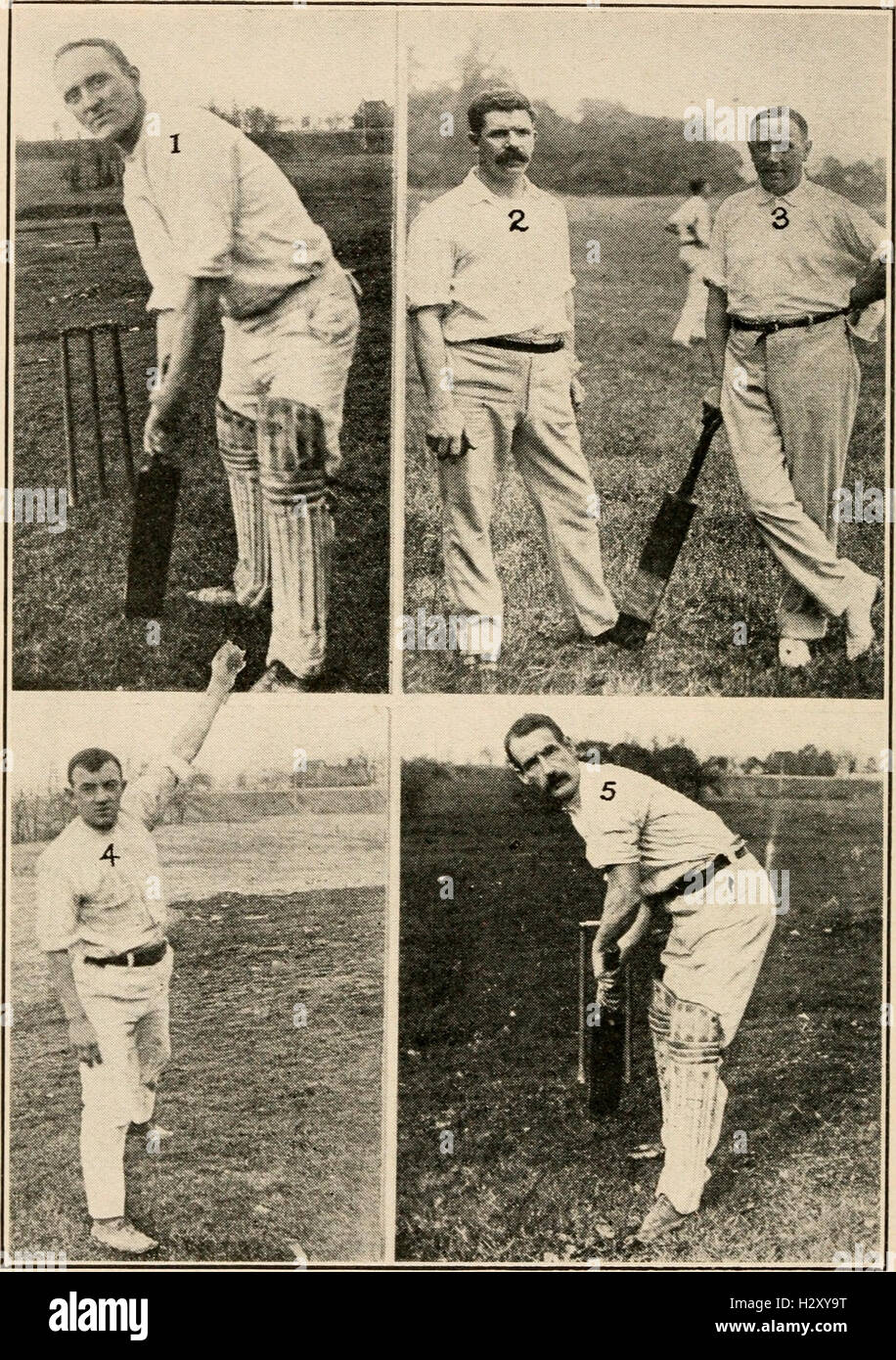 Preview The American Cricket Imbroglio: A Nation’s Sporting Ambition Plagued by Internal Strife