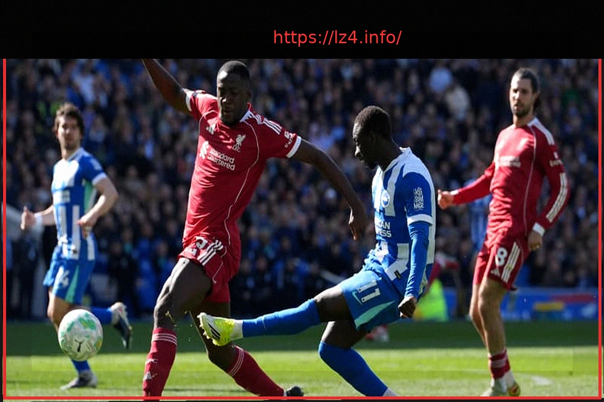 Preview Liverpool Suffers Brighton Defeat, Ekitike Injured Ahead of PSG Champions League Clash