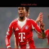 Michael Olise’s ‘Robben-esque’ Masterclass: Brace & Assist in Bayern’s UCL Rout of Atalanta
