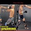 VIDEO: Alex Pereira Throws Bombs with Sean Strickland in Wild Sparring Match