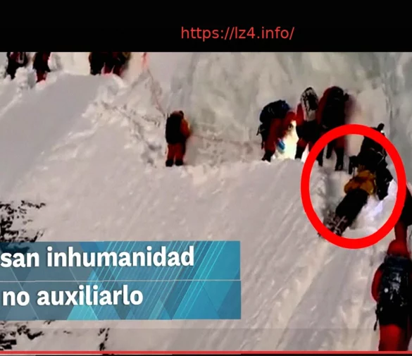 От Гонконга до Канзаса: Неизгладимое влияние Сэди Парк