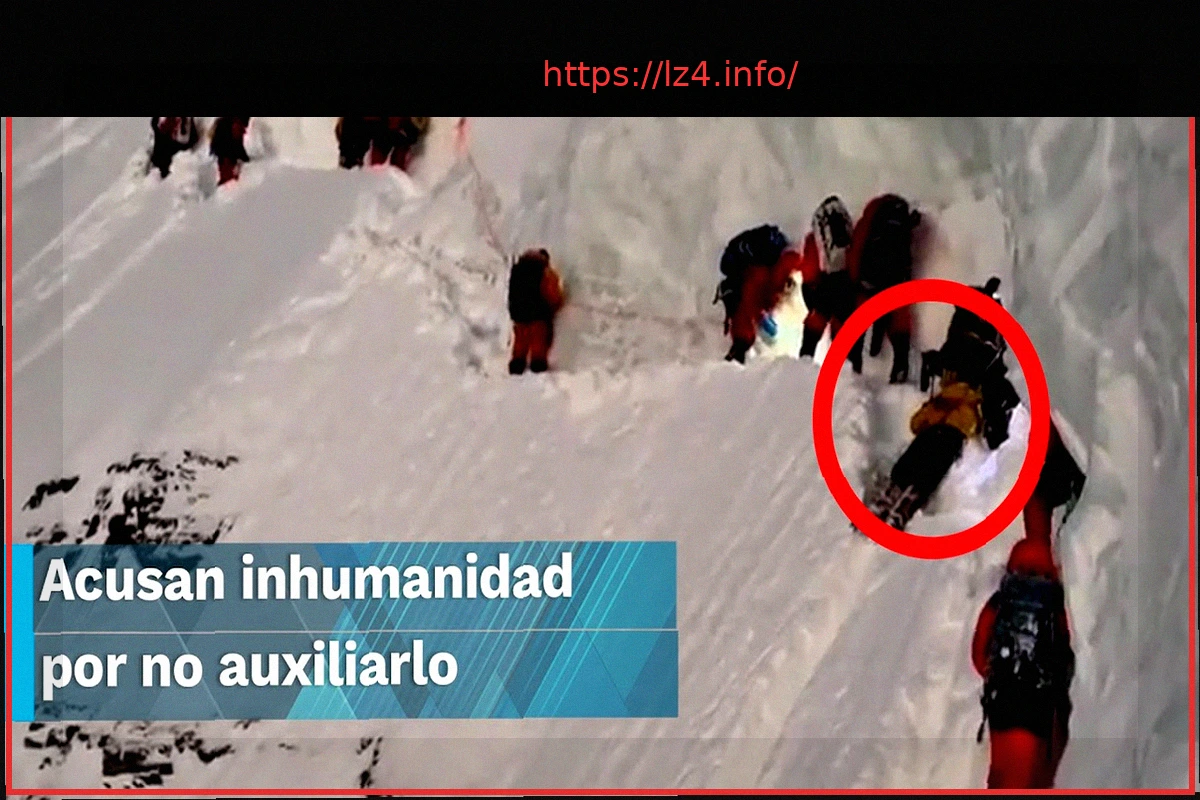 Preview От Гонконга до Канзаса: Неизгладимое влияние Сэди Парк