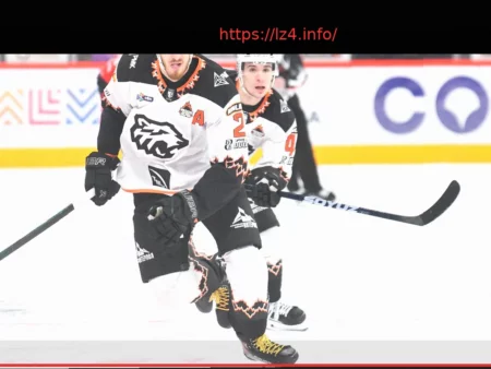 Анна Калинская не примет участие в турнире WTA 500 в Штутгарте