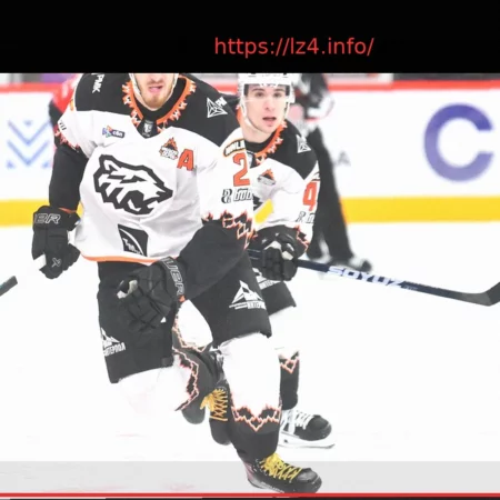 Анна Калинская не примет участие в турнире WTA 500 в Штутгарте