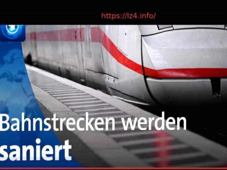 Magomed Ankalaev Promises No Takedowns if Khalil Rountree Accepts Fight