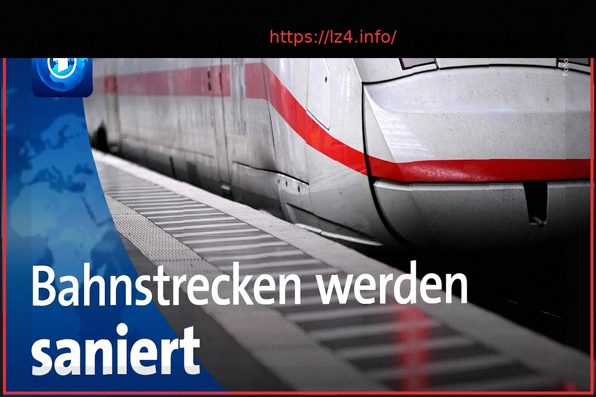 Preview Magomed Ankalaev Promises No Takedowns if Khalil Rountree Accepts Fight