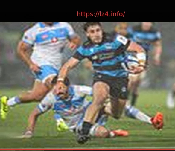 Джош Маккей: от дикой природы до Тулона