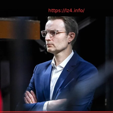 Fabien Romeyer Officially Joins SCABB from Dijon