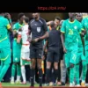 CAN 2025 Final Controversy: Explosive Allegations of Referee Pressure Rock CAF