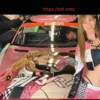 My Dress-Up Darling Car Achieves Second Place at Suzuka 5 Hours Race, Outperforming Evangelion