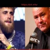 Jake Paul Criticizes Dana White’s Leadership, Stating UFC’s Brand is ‘Dying’ and Needs Innovation