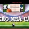 Kèo Nhà Cái and Modern Betting Trends in Online Sports Markets